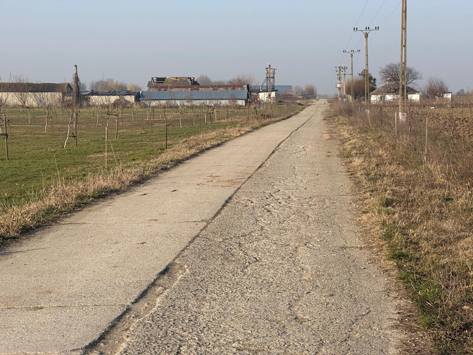 Concrete road — main access to the farm