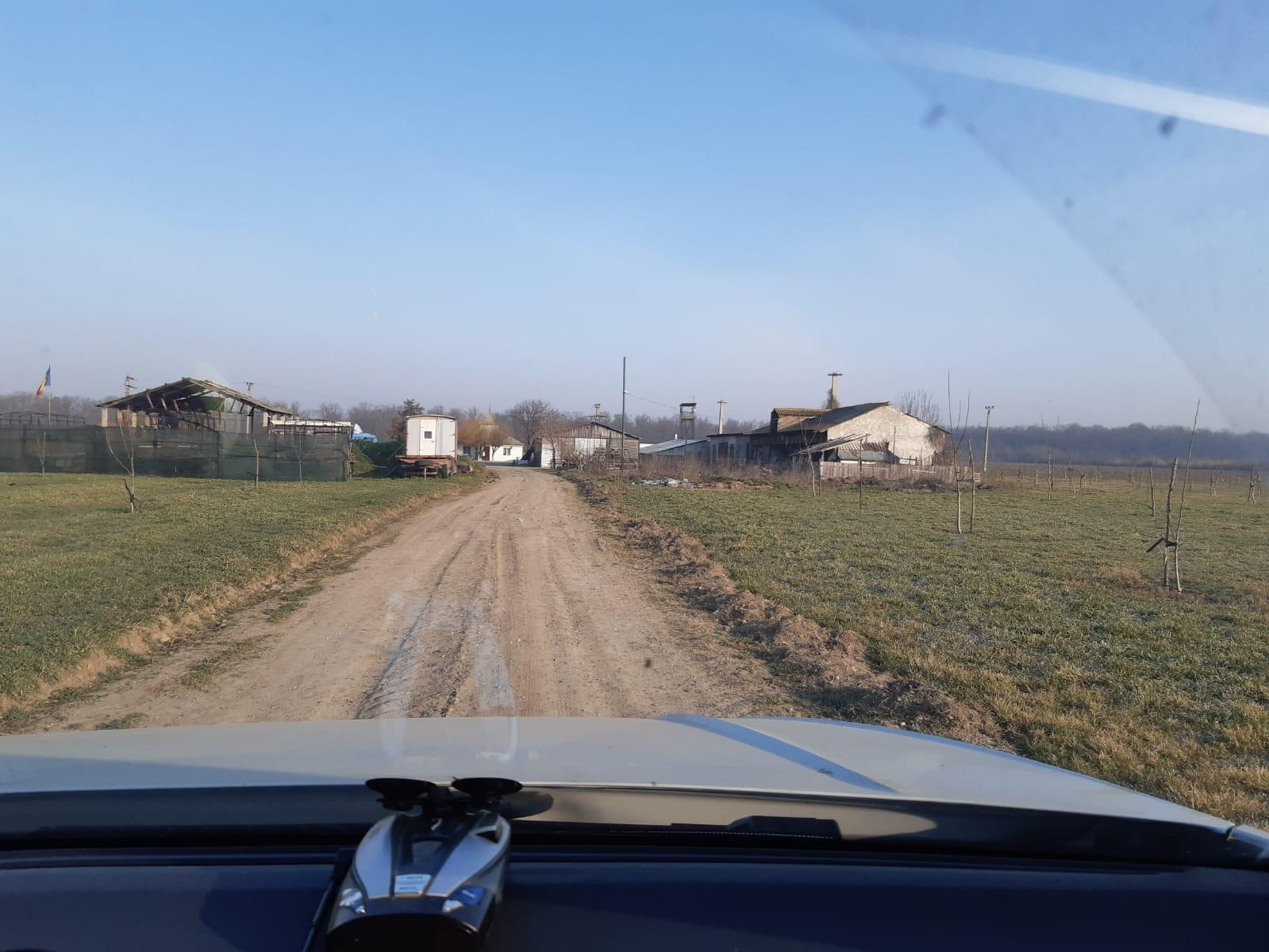 Farm entrance — access road and buildings, Ivești