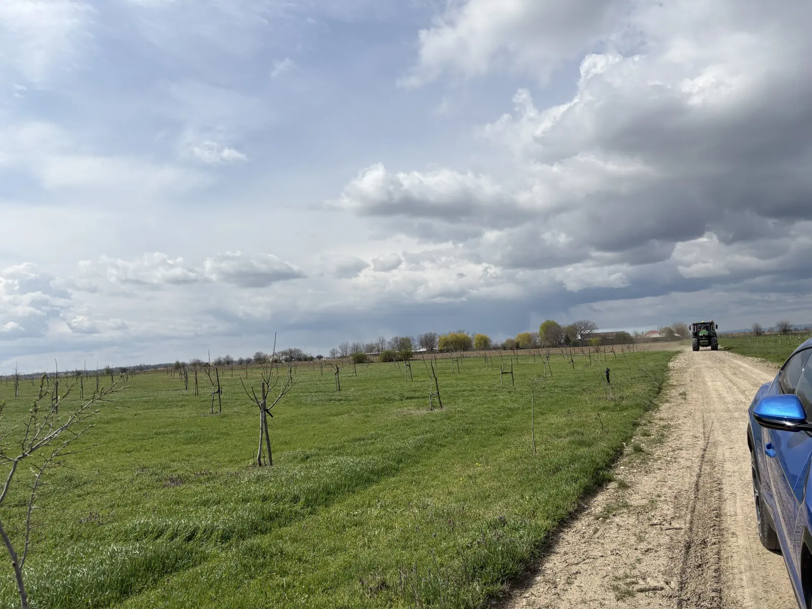 Walnut farm Ivești — photo 6