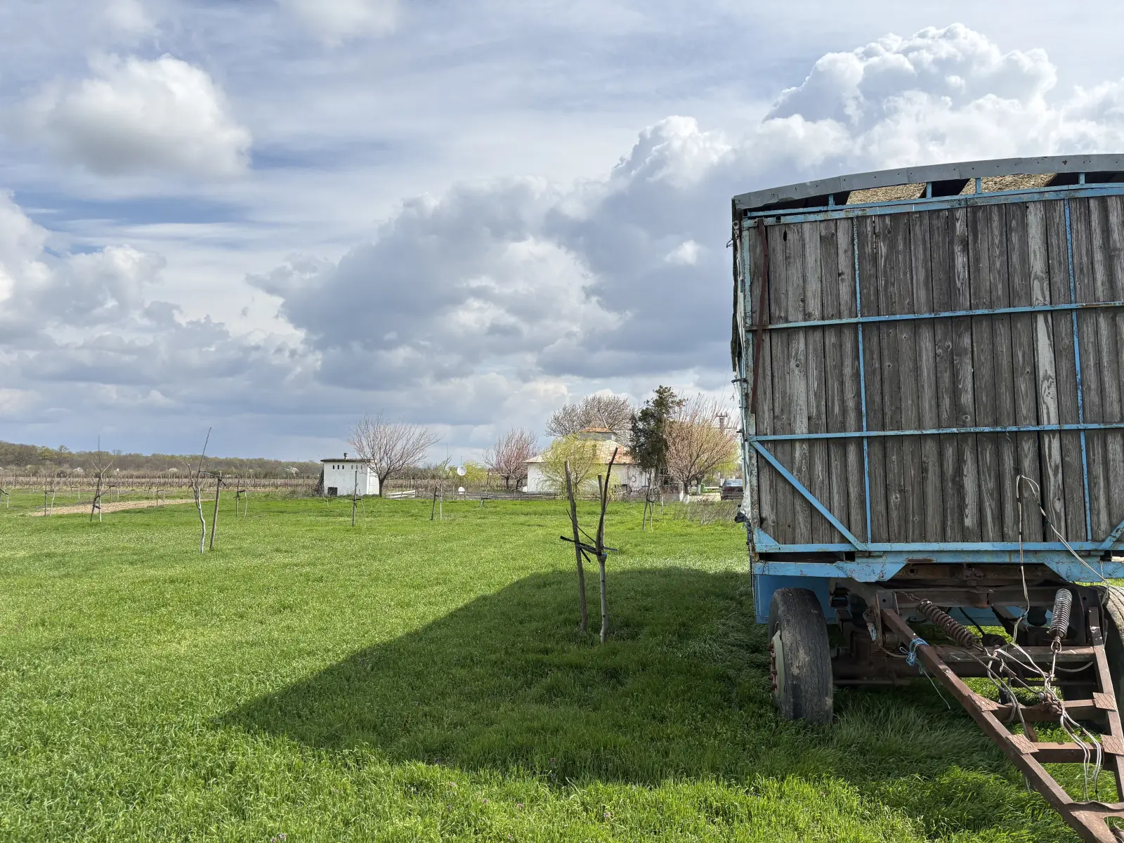 Walnut farm Ivești — photo 10